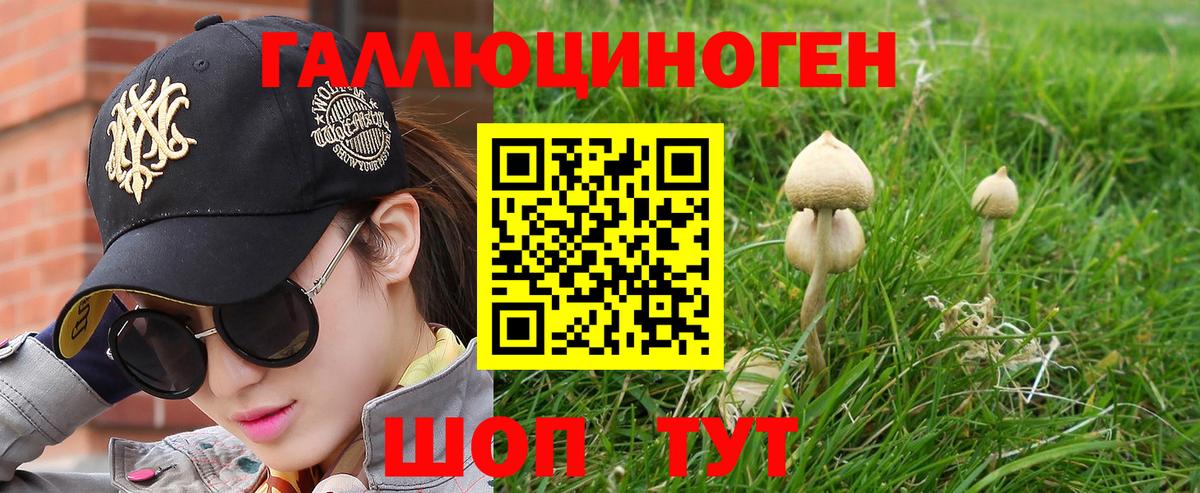 Галлюциногенные грибы MAGIC MUSHROOMS  Вход с VPN  Коркино 