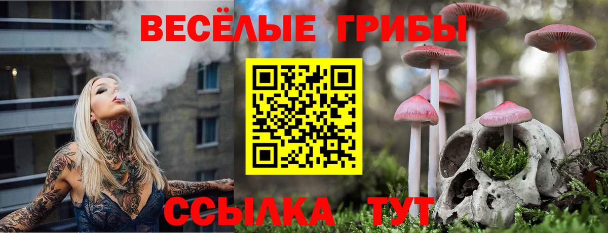 Псилоцибиновые грибы GOLDEN TEACHER Коркино
